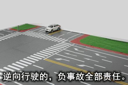 洛宁交警曝光酒驾醉驾典型案例,洛宁县交警违章处理在哪里