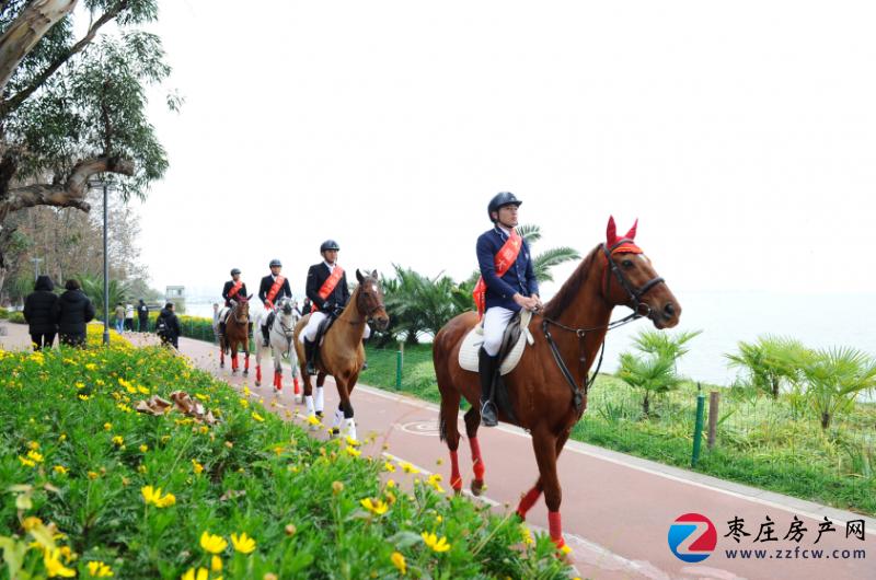 踏马滇池？百万名马乘骑等你来体验