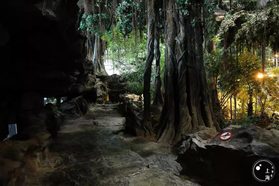 整个上海都是繁华的吗,上海一座美丽的魔都