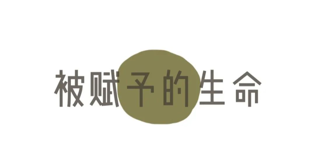 荷兰|当热爱与艺术交织,运河边的你被治愈了吗?