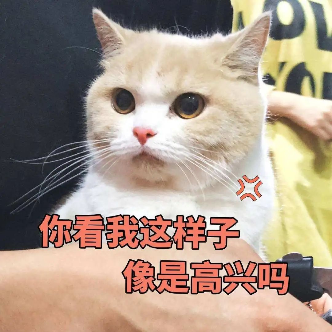 夏天驱蚊对猫有影响吗,夏天喷洒什么药杀死蚊子苍蝇