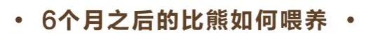 比熊犬怎么养?比熊犬吃什么?养比熊有哪些注意事项??