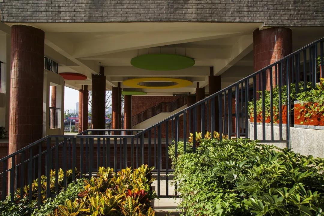 成都天府新区华阳小学,成都市天府新区华阳小学