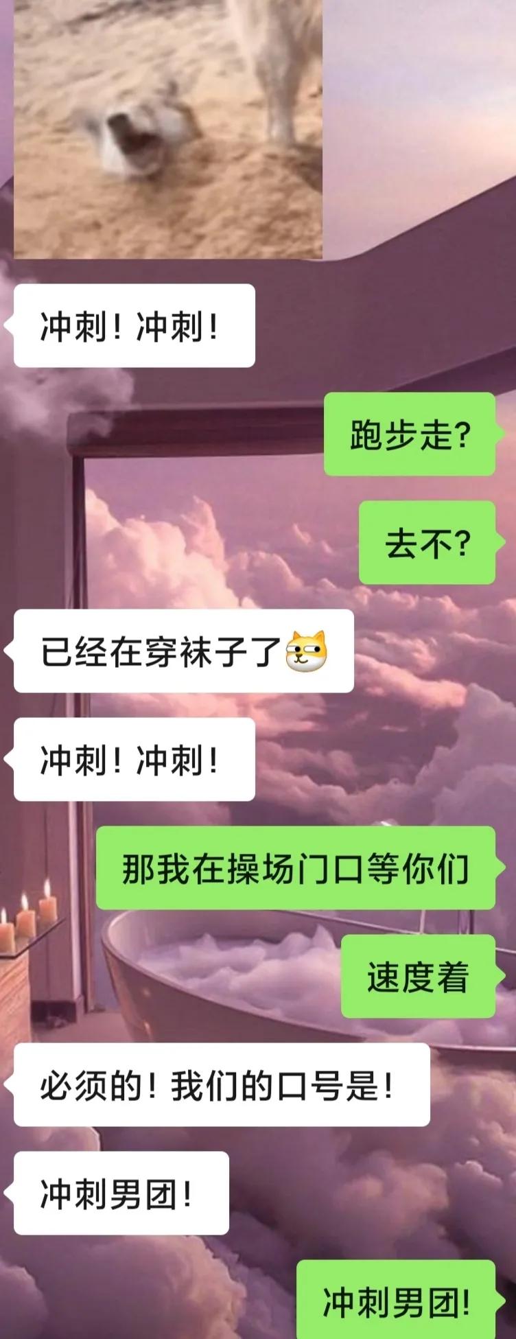 西译的花式群名，确定不看看吗？