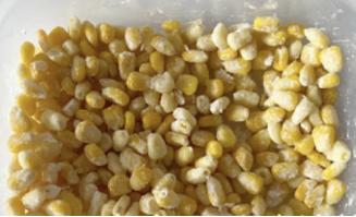 减肥期间都有哪些好吃的,减肥期间好吃的