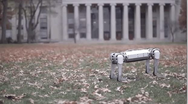 “请停止霸凌机器人”假视频揭秘，2019最强大机器人Top10在这里