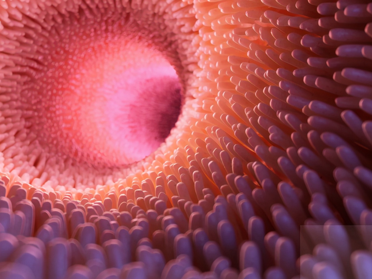 浅谈氧化锌的作用,氧化锌现状