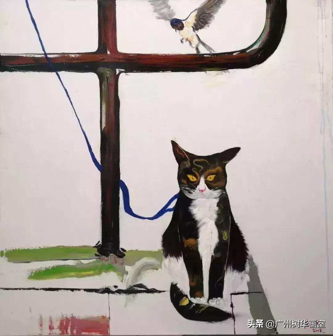 16岁少年上央视,16岁火起来的明星中国