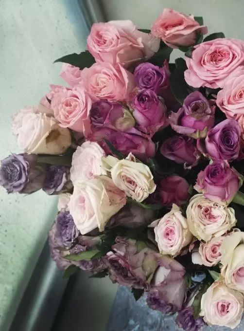 叫醒玫瑰花的办法