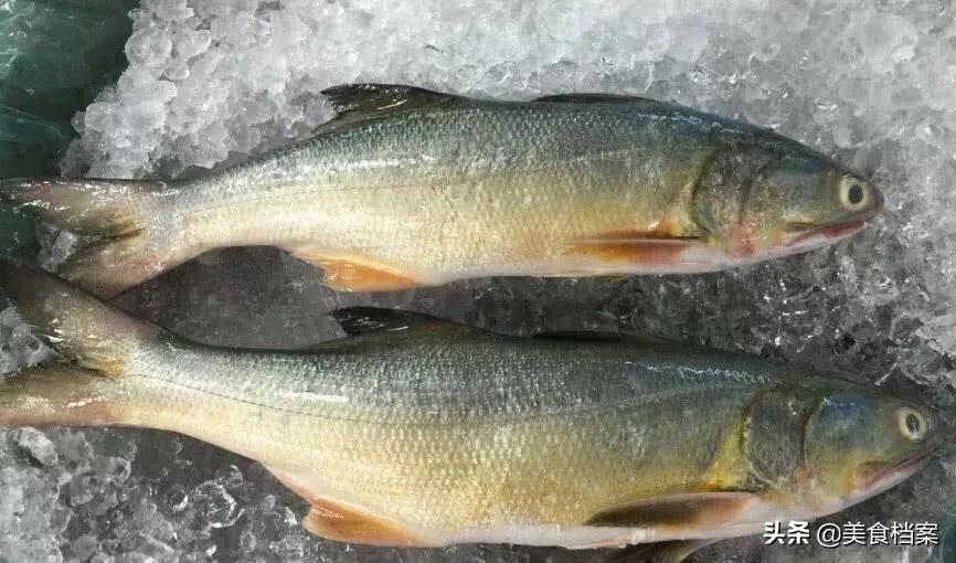 公认最好吃的十种鱼,公认最好吃的20种鱼