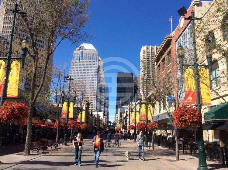 海外见闻原创视频,海外留学见闻