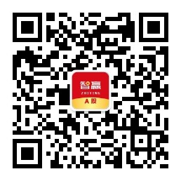 智赢股票的组合策略,智赢股票的投资策略