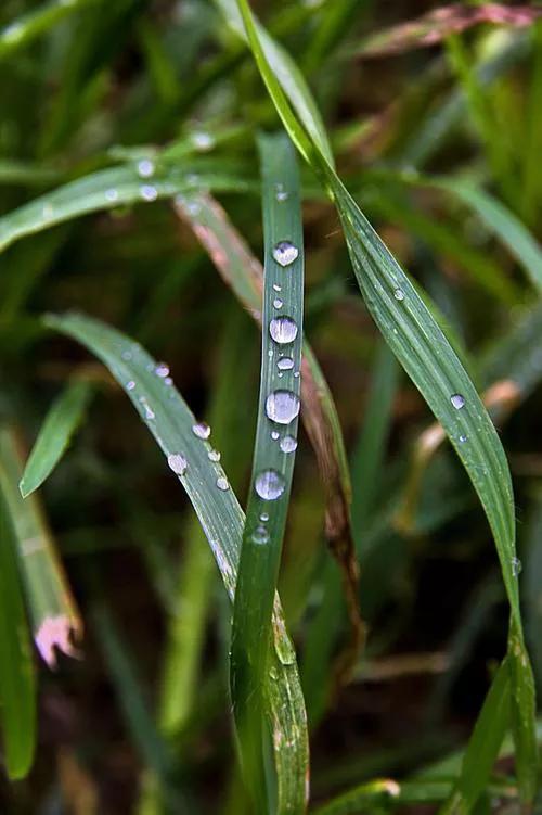 在请战书上签字,签订请战书和遗书