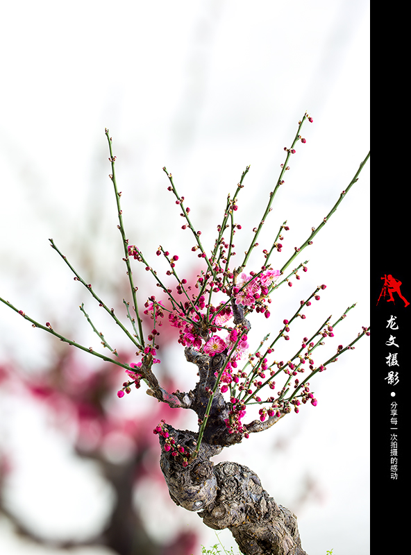 灏煎悍澶氶噸鏇濆厜鏁欑▼,浣宠兘澶氶噸鏇濆厜鏁欑▼