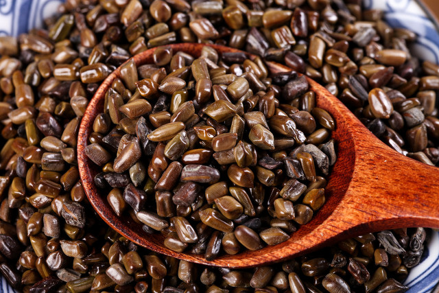 每天认识一味中药青葙子,青葙子药材图片