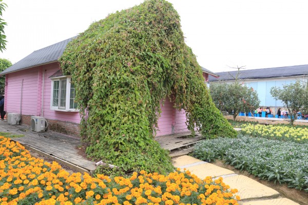 森林花海亲子游攻略,森林公园亲子游推荐