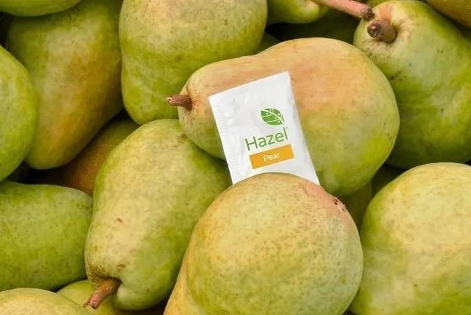 2023世界食品创新奖,解析2019世界食品创新奖入围产品