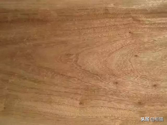 中国常用木材硬度排名,木材硬度表格大全