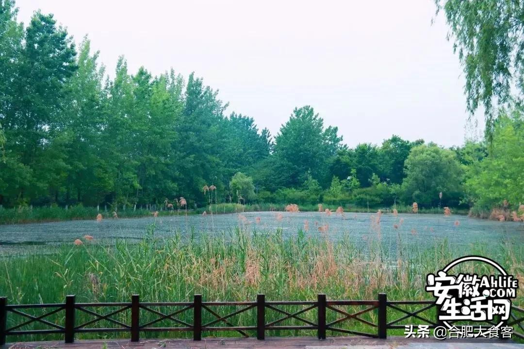 2020年，在这50个地方遇见不一样的合肥