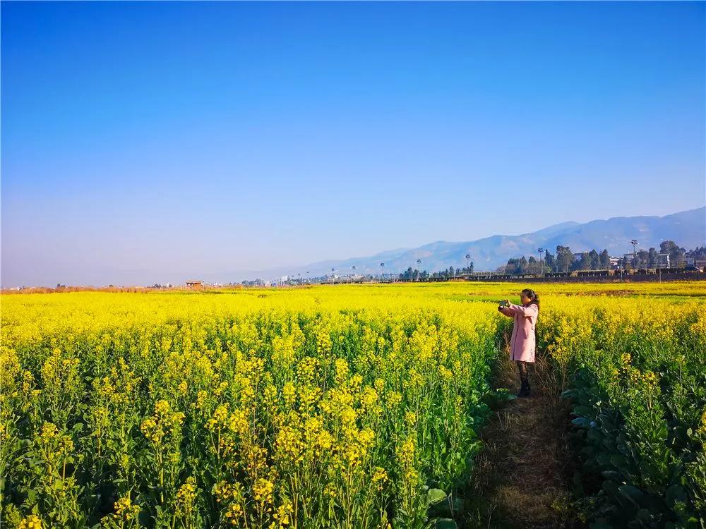 瞧!这花花世界谁不爱