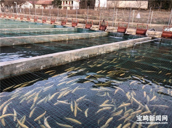 太白：农闲时节闲不住喜笑颜开致富忙