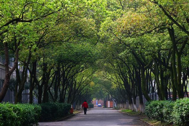 南昌航空大学排名最好的专业,南昌航空十大最好专业