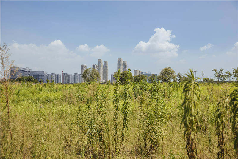 杭州三堡北苑宣传片,杭州市三堡北苑小区