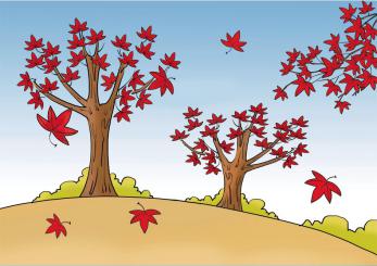 人教版三上第二单元语文知识点,部编版语文二年级上第三单元重点