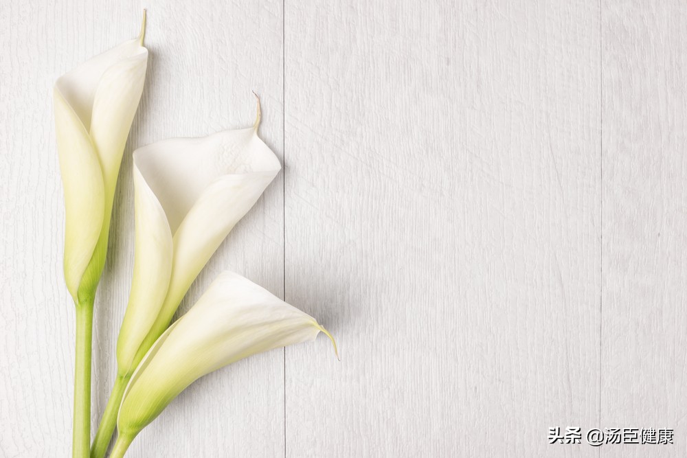 家中常见六种有毒花,室内不宜养的有毒花