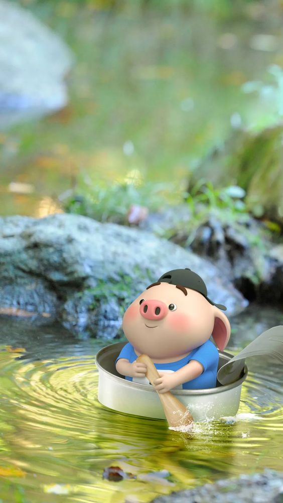 可爱又萌的小猪猪,可爱的小猪猪萌萌哒