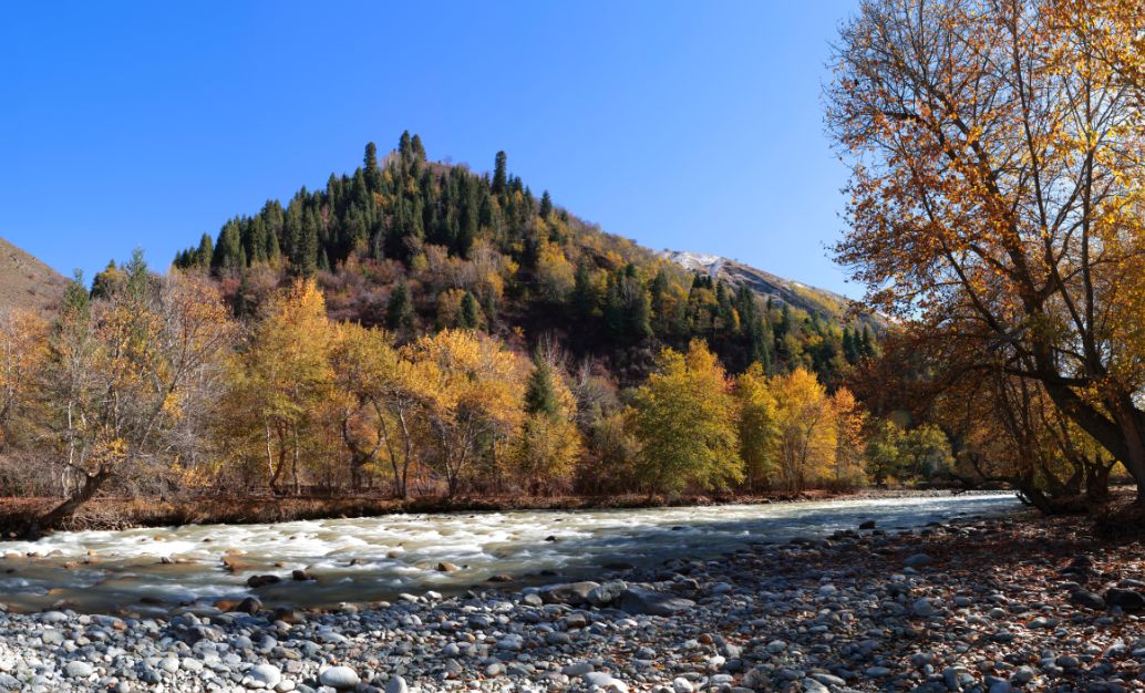 伊犁最美的50处绝色美景,伊犁最美的小众景点