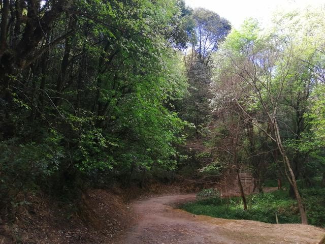 徐霞客游记完整视频,徐霞客游黄山后记全文