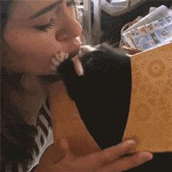 铲屎官别怕猫咪来保护你,猫咪对铲屎官的占有欲