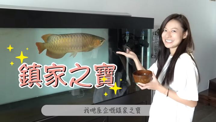 32岁明星晒自家豪宅,33岁女星晒海景豪宅