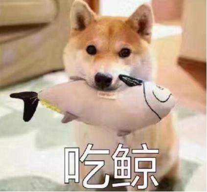 昆明劫匪被击毙,昆明事件被击毙歹徒背后的事情