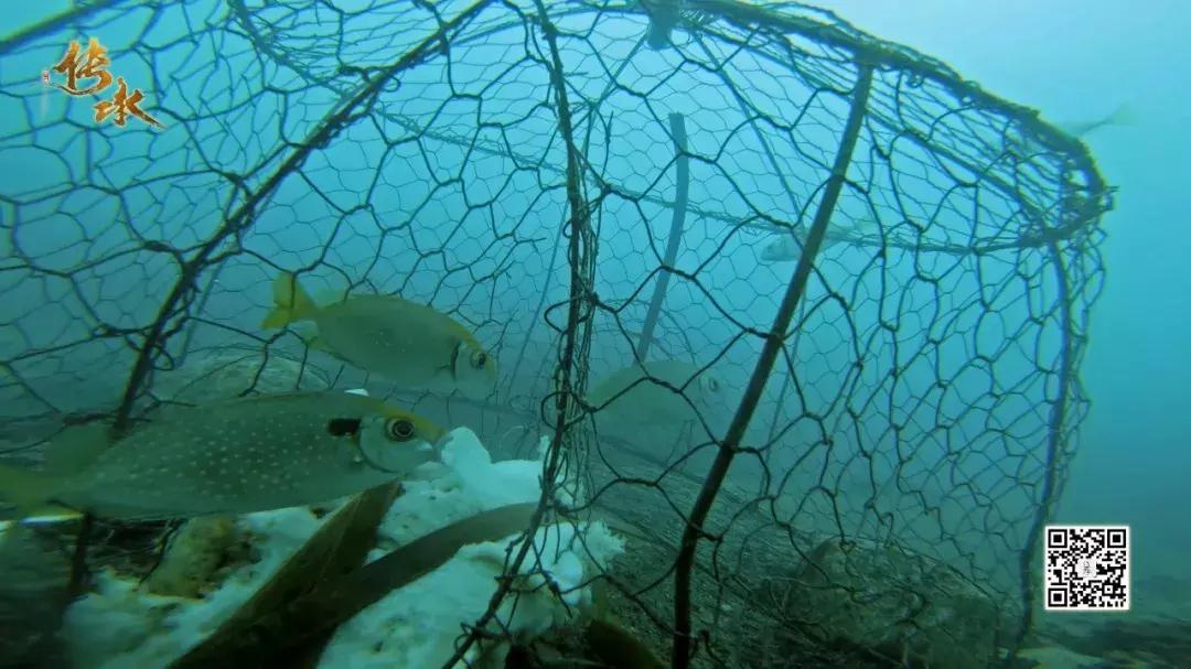 跟着《传承》第三季，3分钟教你做弓和捕鱼