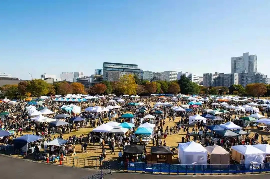 日本跳蚤市场中国货,日本跳蚤市场高达