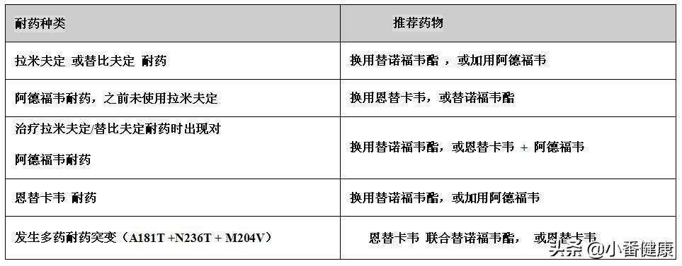 乙肝免疫耐受期抗病毒,乙肝抗病毒应答是什么意思