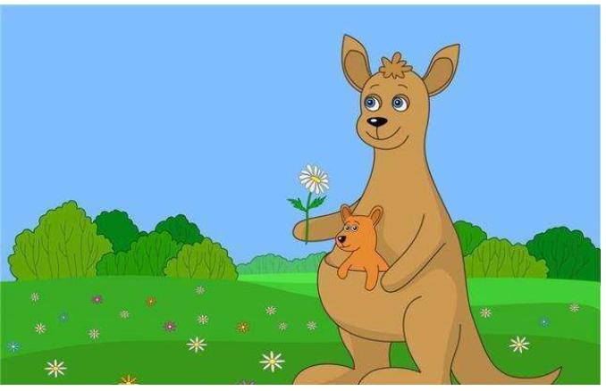 早产儿袋鼠护理视频,早产儿宝宝护理指南