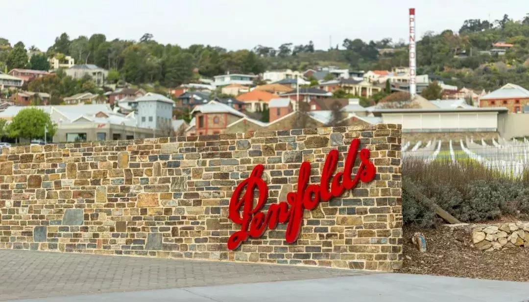 奔富的BIN707、407、389这些数字到底什么意思？