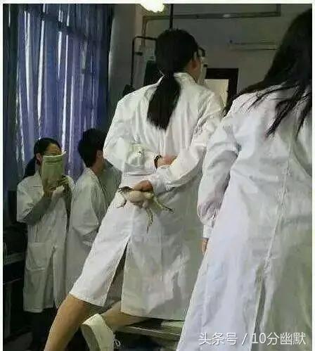 想当一名游泳教练,业余爱好者能当游泳教练吗