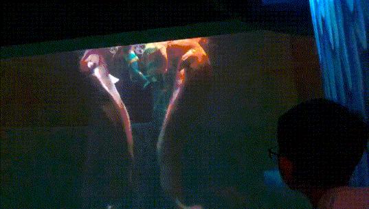 哈尔滨去威海亲子游,哈尔滨旅游攻略亲子游四天三夜