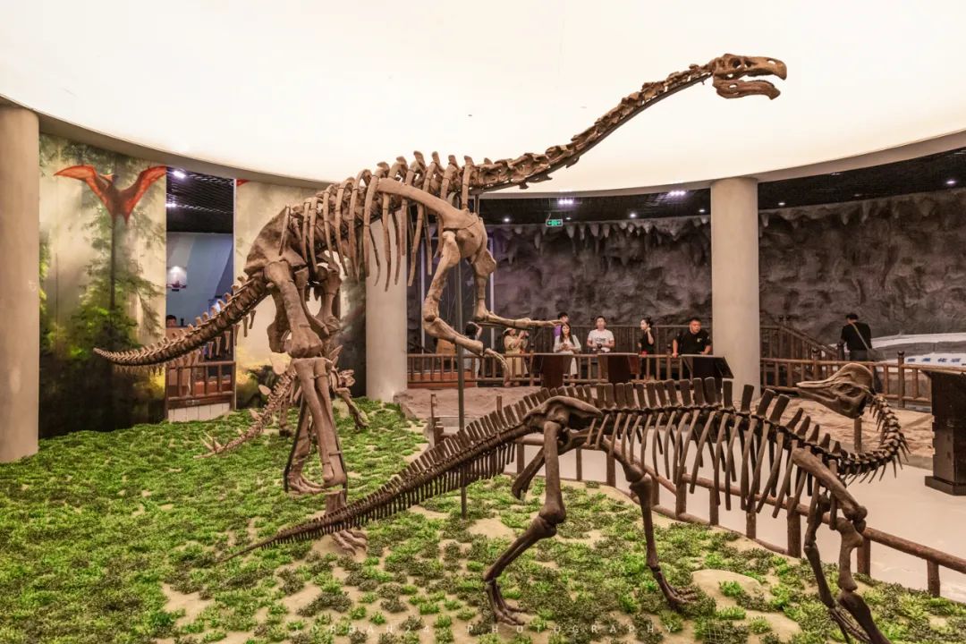 綦江城区游,重庆綦江区旅游