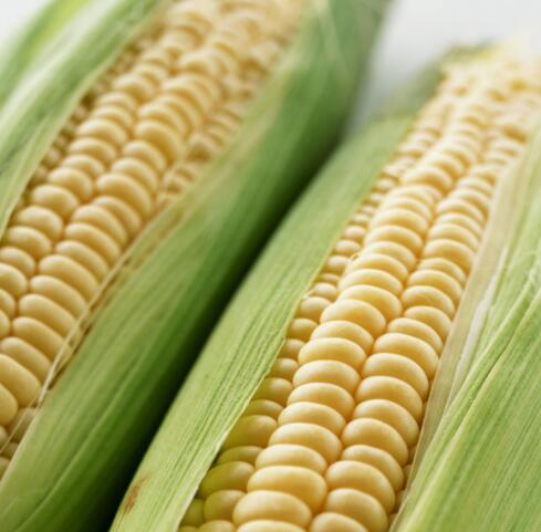 家里常见的果树有哪些,这些树千万不能栽在家门口