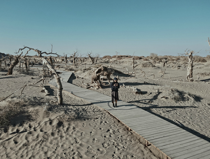 去一趟大西北的旅行,大西北旅行青藏高原