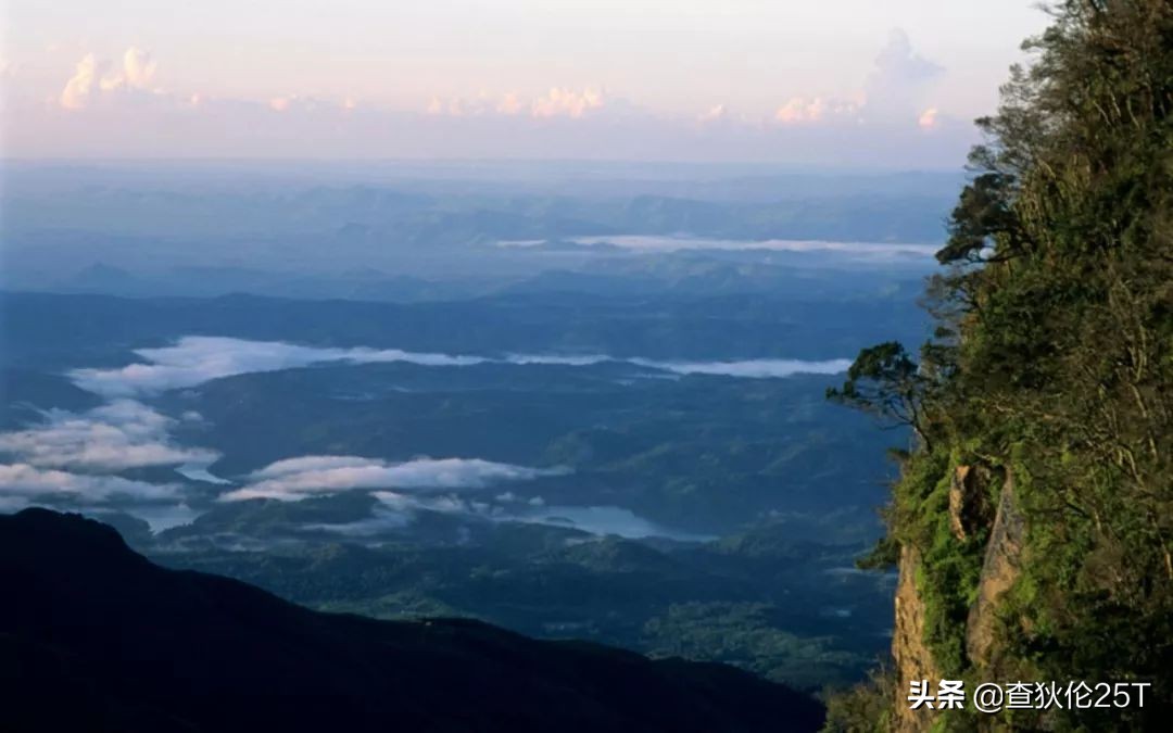 斯里兰卡努沃埃利耶小镇,斯里兰卡努沃勒埃利耶茶厂