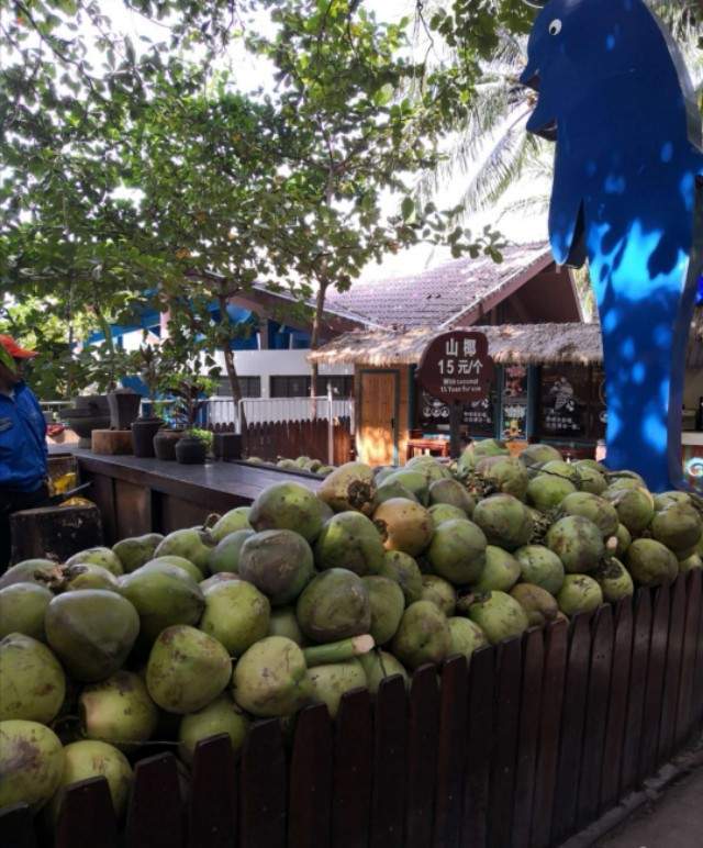 海南分界洲岛酒店,海南分界洲岛直播间