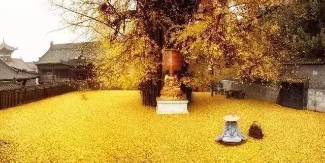 慎独深度好文完整版,慎独深度好文推荐