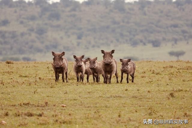 非洲女孩，讲述曾经患有抑郁症的她，割腕、跳河，最终走了过来