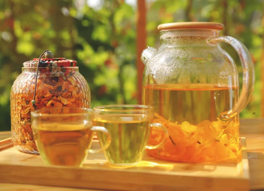 金莲花茶的禁忌,金莲花和菊花哪个去火效果好